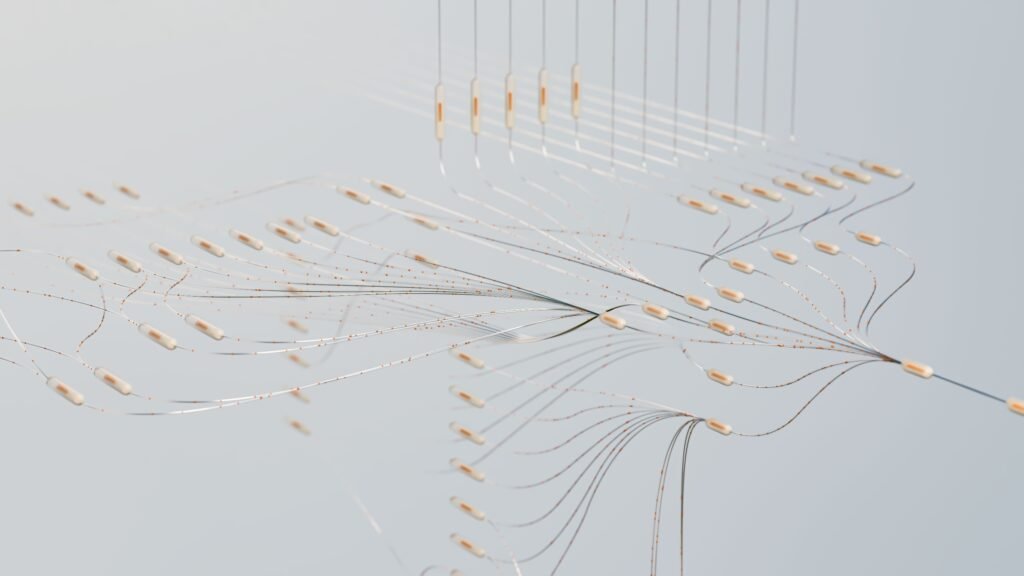 A schema of connections