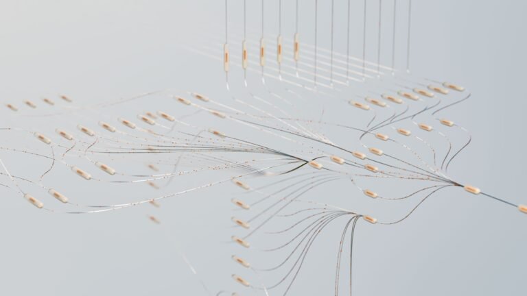 A schema of connections