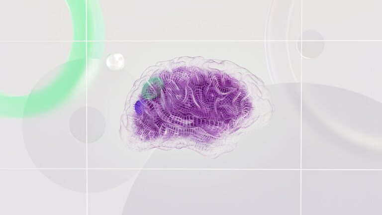 Colorful image of a human brain