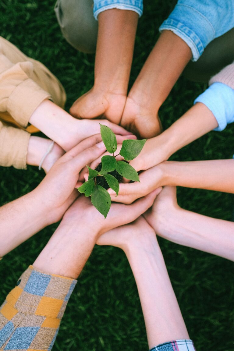 Several hands holding a small plant