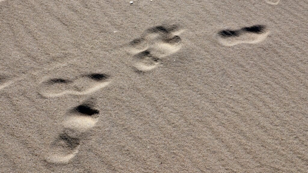 Footprints on sand