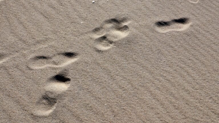 Footprints on sand